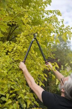 Kreator KRTGR4001 Takkenschaar - 650mm -Tuingereedschap Winkel 800x1200 39