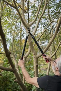 Kreator KRTGR4001 Takkenschaar - 650mm -Tuingereedschap Winkel 800x1200 40