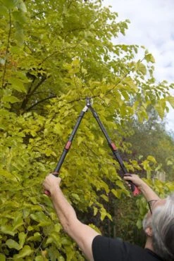 Kreator KRTGR4003 Telescopische Takkenschaar – Jong Hout - Knipdiameter: Ø34 Mm -Tuingereedschap Winkel 800x1200 41