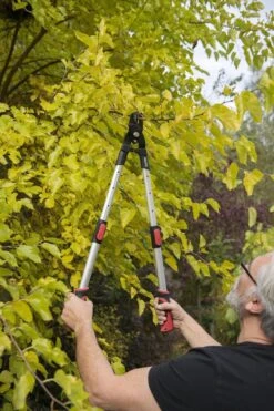 Kreator KRTGR4013 Telescopische Takkenschaar - 63-89 Cm Totale Lengte - . Ø39 Mm Knipdiameter -Tuingereedschap Winkel 800x1200 42