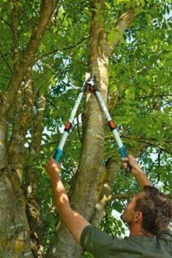 Gardena TeleCut Takkenschaar 650-900 B - Uitschuifbare Armen - Tot Max 90 Cm -Tuingereedschap Winkel 801x1200 6