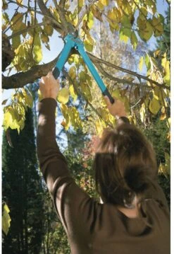 GARDENA Comfort 500 BL Takkenschaar - Max Knipdiameter 35 Mm 14 GARDENA Comfort 500 BL Takkenschaar - Max Knipdiameter 35 Mm -Tuingereedschap Winkel 825x1200 16