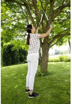 GARDENA - TeleCut Telescopische - Takkenschaar 520-670B - 42 Mm Verstelbare Lengte -Tuingereedschap Winkel 826x1200 1