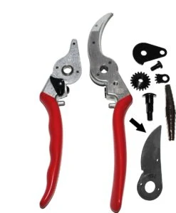 Felco 2 + GRATIS Felco Handschoenen In Cadeauverpakking -Tuingereedschap Winkel 987x1200 1