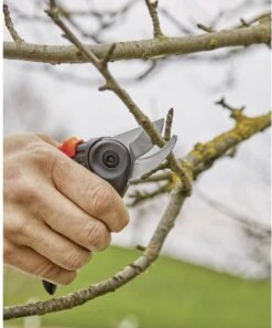 GARDENA - ExpertCut - Snoeischaar - 22 Diameter Tak -Tuingereedschap Winkel 999x1200 2